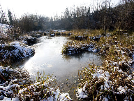 Le Volp sous la neige